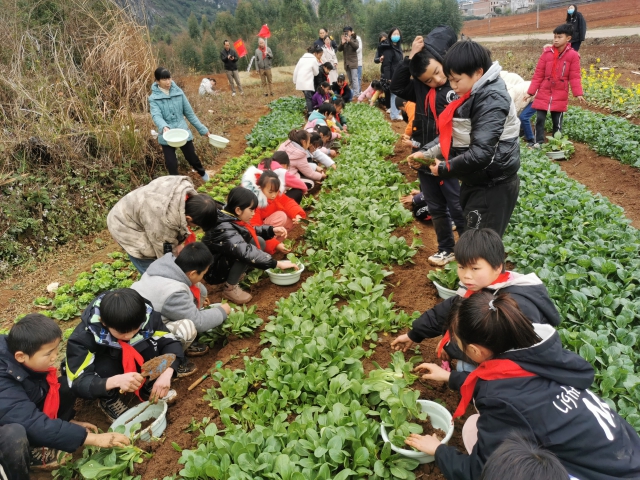 研学实践课现场2.jpg